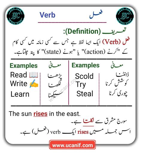 Which Urdu Meaning with 2 Definitions and Sentence(s).